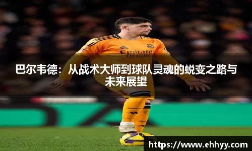 南宫NG28